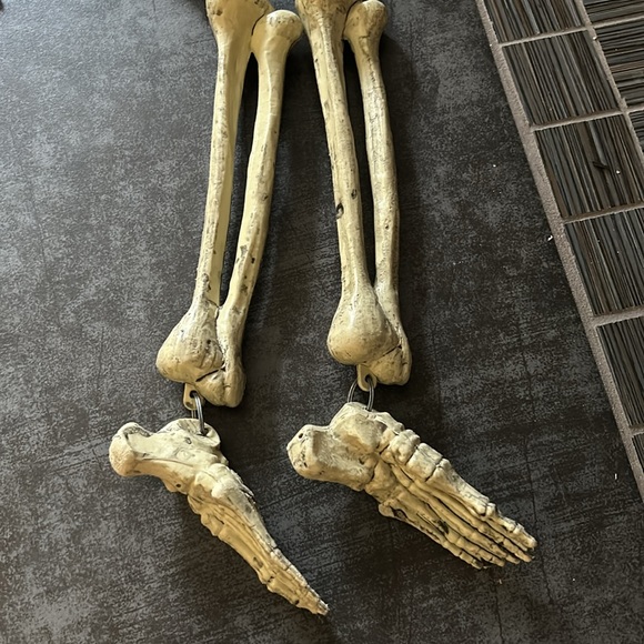 vtg Hanging Skeleton Halloween decor 33x10 not too big legs & arms removable - Picture 4 of 8